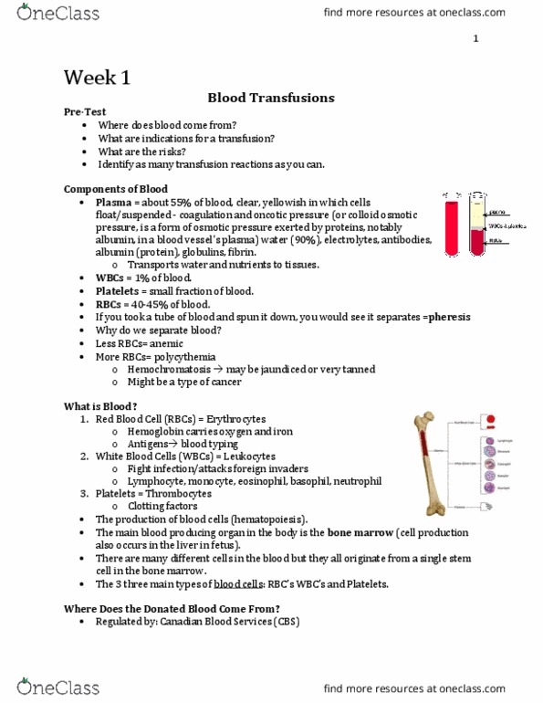 Nursing 3920A/B Lecture Notes - Lecture 1: Cutaneous Condition, Lymphocyte, Amniocentesis thumbnail