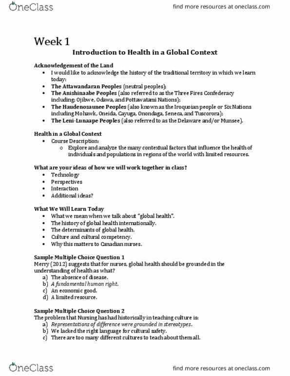 Nursing 3310A/B Lecture Notes - Lecture 1: Disease Burden, World Health Organization, Essentialism thumbnail