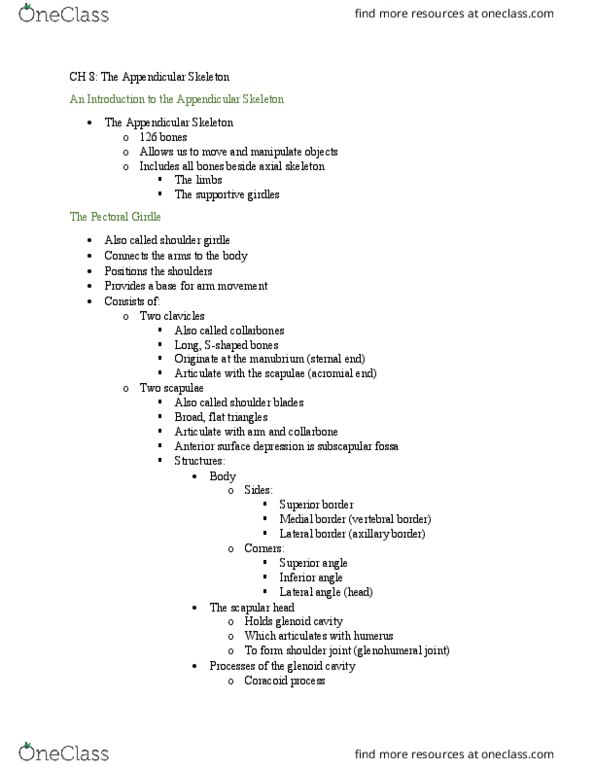 BIO 212 Lecture Notes - Lecture 7: Cuboid, Radial Nerve, Metacarpal Bones thumbnail