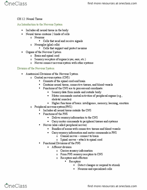 BIO 212 Lecture Notes - Lecture 11: Neurofilament, Nucleolus, Cranial Nerves thumbnail