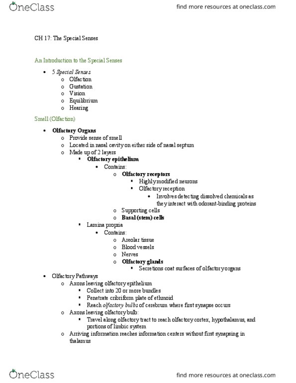 BIO 212 Lecture Notes - Lecture 15: Solitary Nucleus, Ciliary Body, Cilium thumbnail