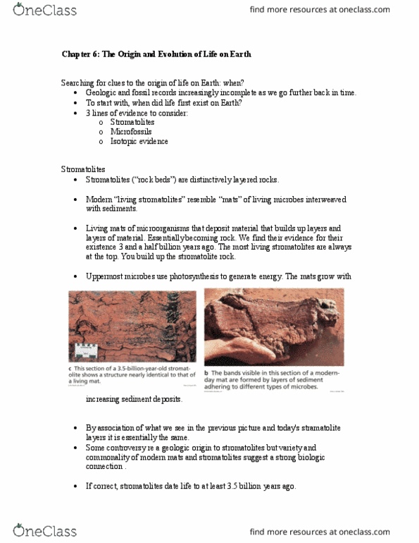 NATS 1880 Chapter Notes - Chapter 6: Cell Nucleus, Meteor Crater, Relative Change And Difference thumbnail