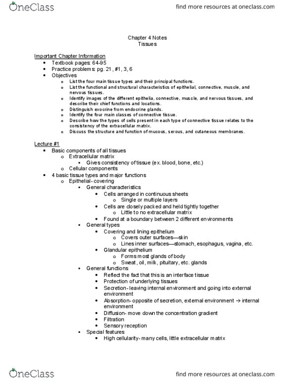 APK 2100C Lecture Notes - Lecture 3: Dermis, Epiglottis, Intervertebral Disc thumbnail