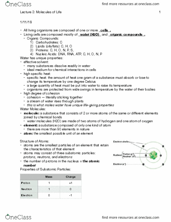 PBIO 1210 Lecture Notes - Lecture 3: Bicarbonate, Cell Nucleus, Partial Charge thumbnail