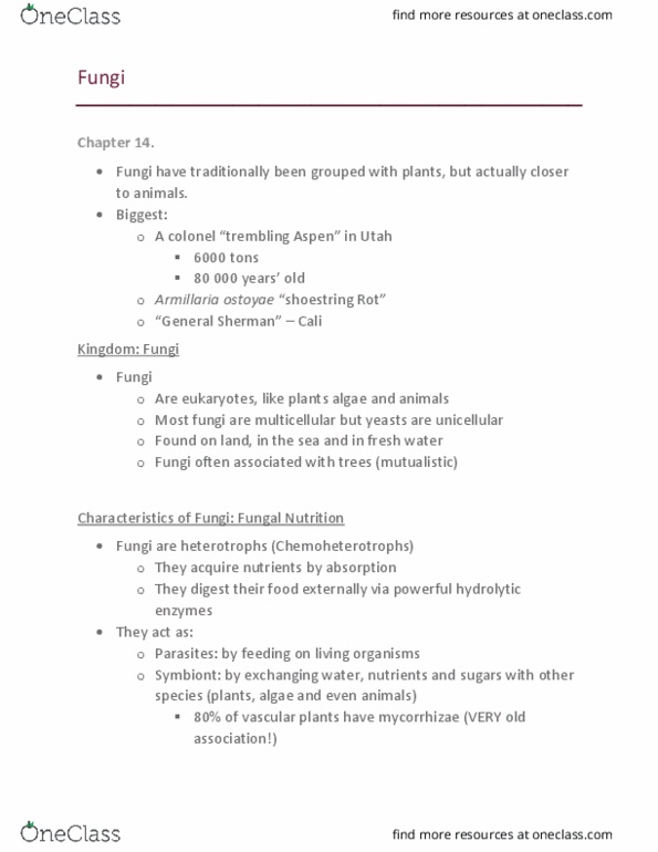 BIO 2137 Lecture Notes - Lecture 4: Armillaria Solidipes, Dutch Elm Disease, Penicillin thumbnail