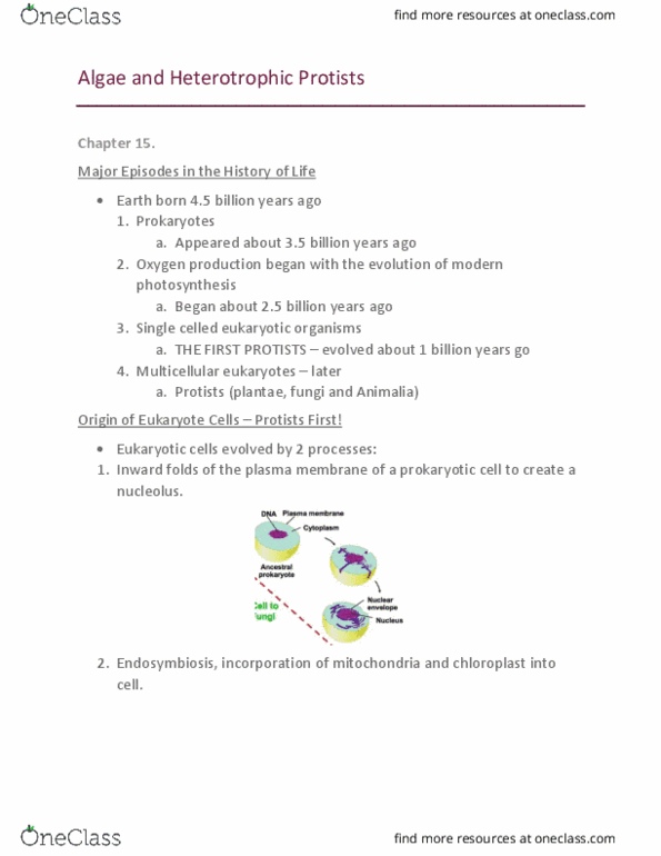 BIO 2137 Lecture Notes - Lecture 5: Photorespiration, Cytokinesis, Chlorophyta thumbnail