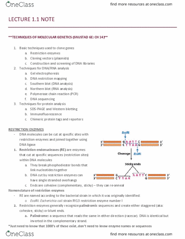 MCB 2050 Lecture Notes - Lecture 1: Base Pair, Adenosine Monophosphate, Gel Electrophoresis thumbnail