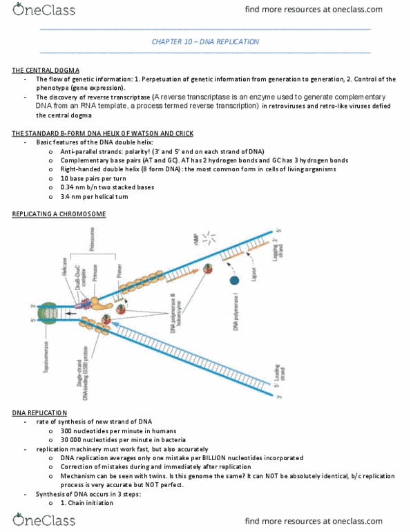 MBG 2040 Chapter Notes - Chapter chapter 10: Central Dogma Of Molecular Biology, Metaphase, Exonuclease thumbnail
