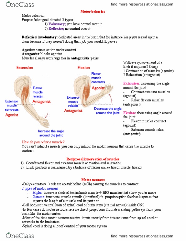 PHGY 209 Lecture Notes - Lecture 1: White Matter, Dont, Premotor Cortex thumbnail