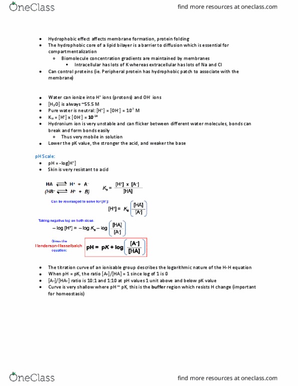 BIOC 2300 Lecture Notes - Lecture 3: Hydronium, Protein Folding, Biomolecule thumbnail