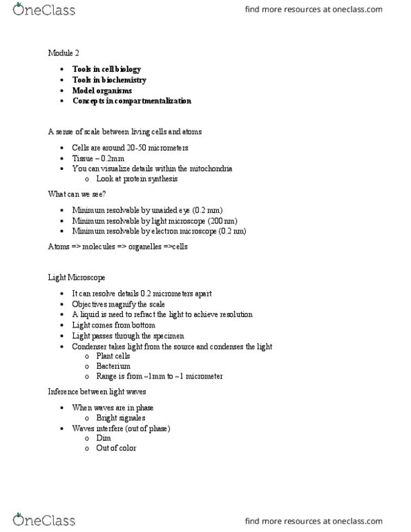BIOL 2104 Lecture Notes - Lecture 2: Antigen, Centromere, Fluorophore thumbnail