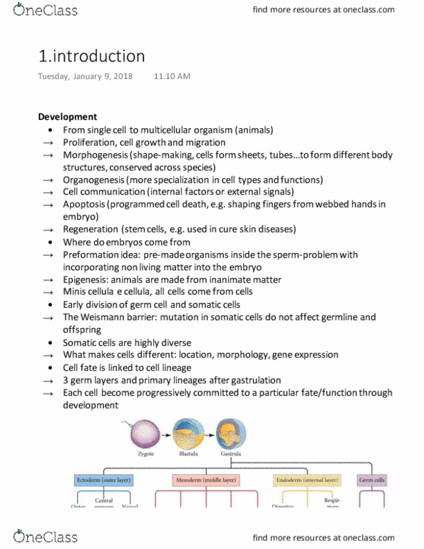 BIOL 303 Lecture Notes - Lecture 1: Fetus, Weismann Barrier, Bone Morphogenetic Protein 4 thumbnail