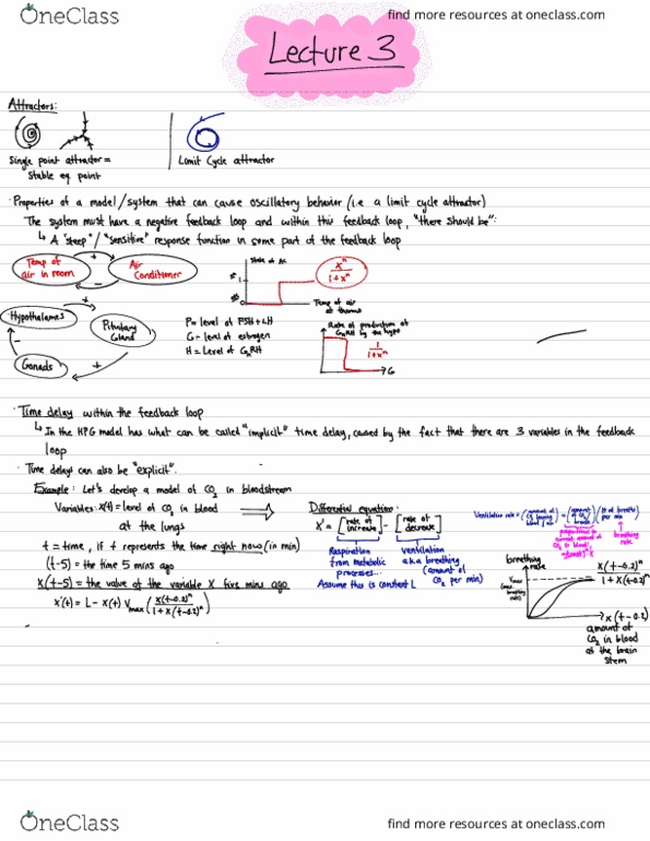 LIFESCI 30B Lecture Notes - Lecture 3: Attractor, Brainstem, Cycle Space thumbnail