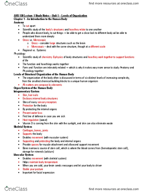 AHS150 Lecture Notes - Lecture 4: Bone Marrow, Digestive Enzyme, Positive Feedback thumbnail