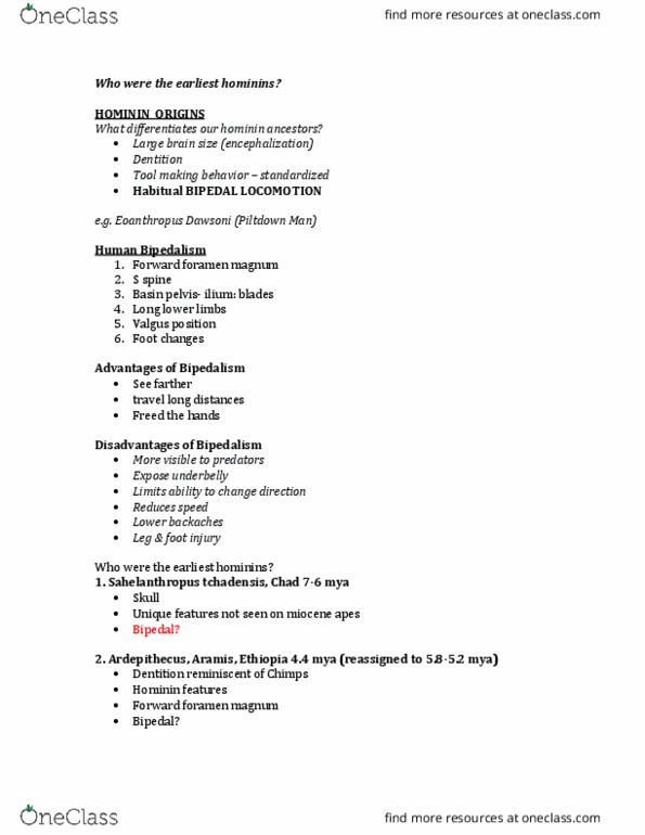 ANT101H5 Lecture Notes - Lecture 10: Swartkrans, Australopithecine, Foramen Magnum thumbnail