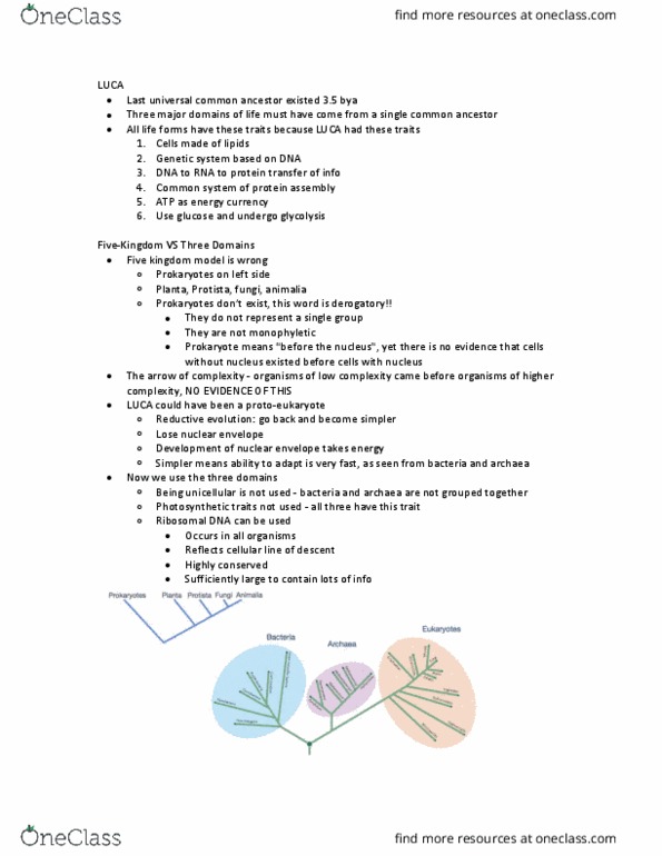 Biology 1002B Lecture Notes - Lecture 3: Arginine, Ribosomal Dna, Nuclear Membrane thumbnail