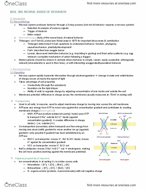 BIOL 306 Lecture Notes - Lecture 1: Active Transport, Cable Theory, Resting Potential thumbnail
