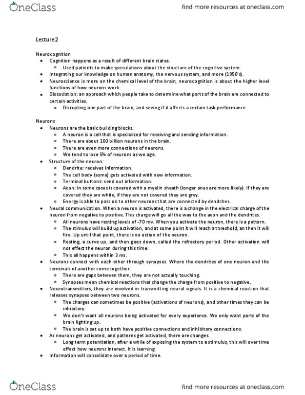 PSYC 2700 Lecture Notes - Lecture 2: Motor Cortex, Parietal Lobe, Transcranial Magnetic Stimulation thumbnail