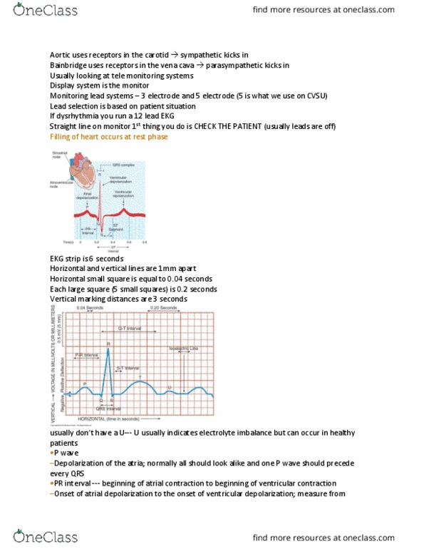 NURS 472 Lecture Notes - Lecture 2: Atrioventricular Node, Hypokalemia, Evry thumbnail