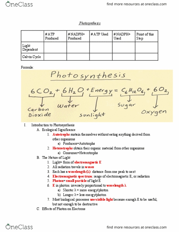 01:119:115 Lecture Notes - Lecture 9: Cellular Respiration, Carbon Fixation, Cytosol thumbnail