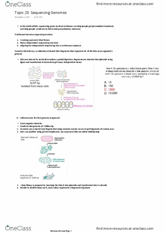 Biochemistry 2280A Lecture Notes - Lecture 23: Sequence Assembly, Organism, Contig thumbnail