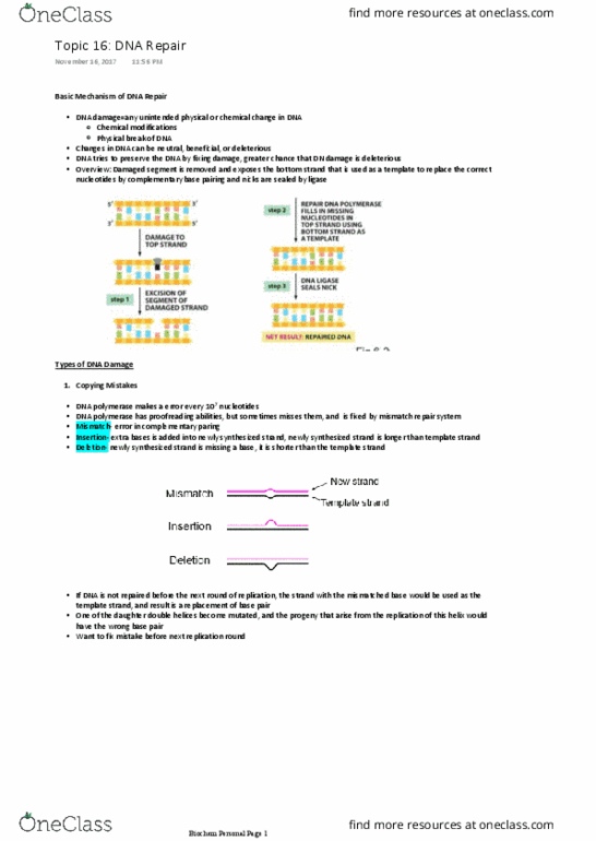 Biochemistry 2280A Lecture Notes - Lecture 16: Cutaneous Condition, Covalent Bond, Uracil thumbnail