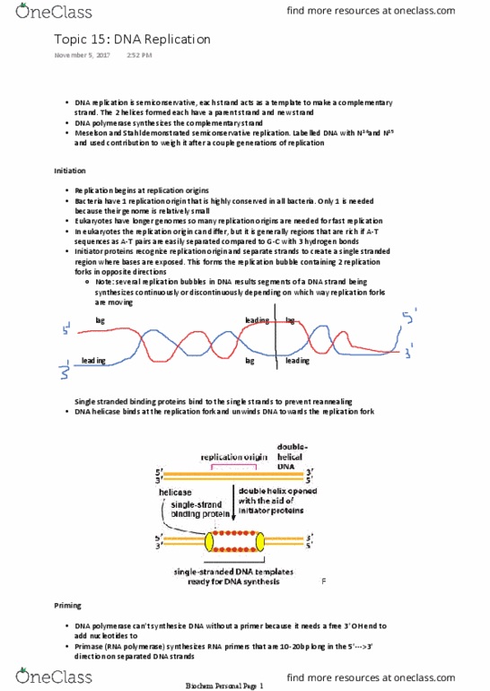 Biochemistry 2280A Lecture Notes - Lecture 15: Dna Ligase, Chromosome, Semiconservative Replication thumbnail