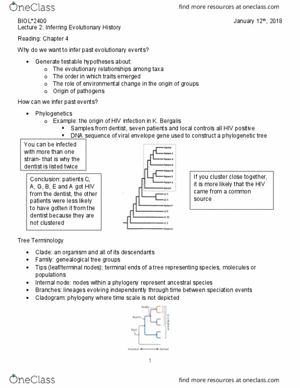 BIOL 2400 Lecture Notes - Lecture 2: Viral Envelope, Tetrapod, Phylogenetics thumbnail