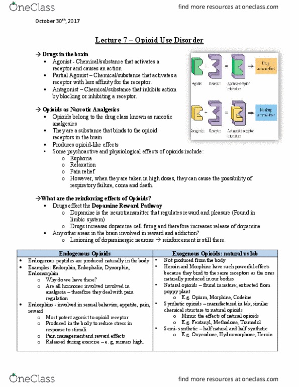 PSYC 2301 Lecture Notes - Lecture 7: Dsm-5, Limbic System, Nasal Septum thumbnail