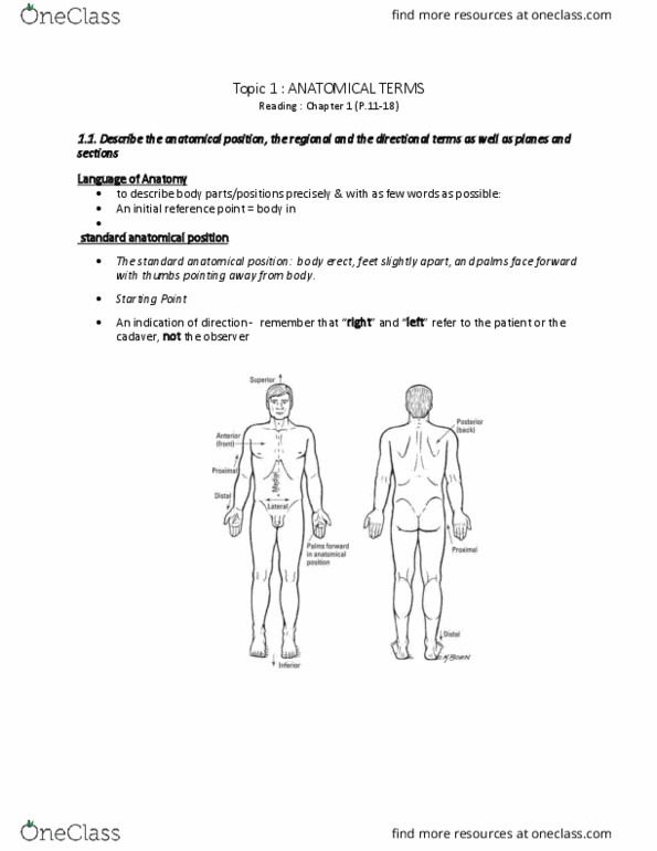 ANP 1106 Lecture Notes - Lecture 1: Abdominal Cavity, Pleural Cavity, Mediastinum thumbnail