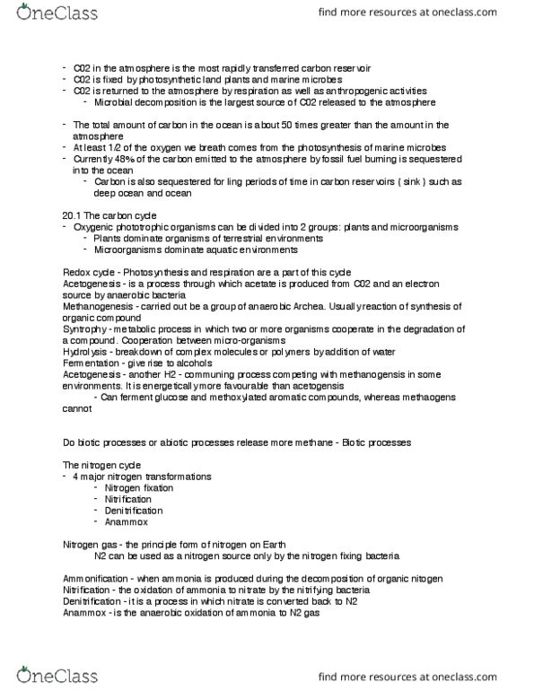 FABS 210 Lecture Notes - Lecture 15: Biogenic Substance, Carbon Cycle, Syntrophy thumbnail