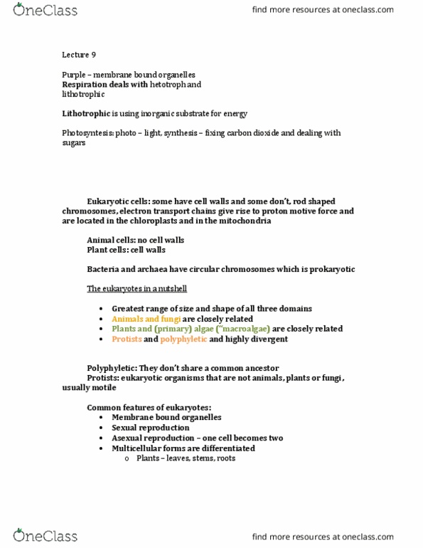 MICR 2420 Lecture Notes - Lecture 9: Saccharomyces, Cyanobacteria, Seaweed thumbnail