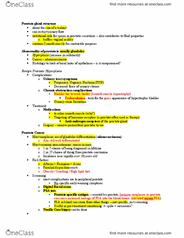Pathology 3245B Lecture Notes - Lecture 12: Nocturia, Smooth Muscle Tissue, Antiandrogen thumbnail
