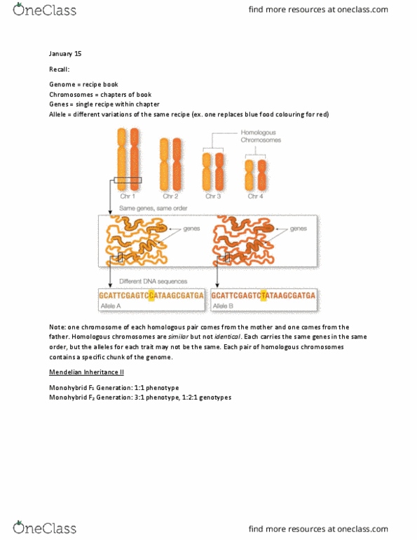 BIOL 2107 Lecture Notes - Lecture 2: Allele Frequency, Consanguinity, Mendelian Inheritance thumbnail