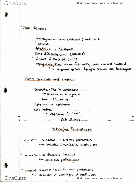 BIOL 205 Lecture Notes - Lecture 18: Itz thumbnail