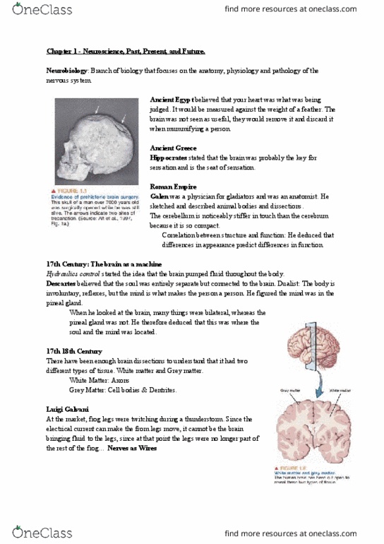 PSYC 355 Lecture Notes - Lecture 1: Phineas Gage, Pineal Gland, Connectome thumbnail