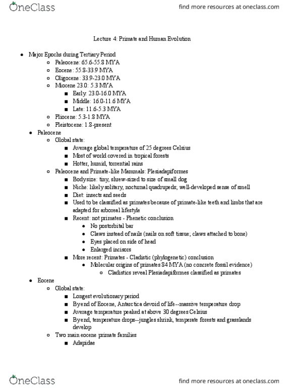 ANT100Y1 Lecture 5: Primate and Human Evolution - From Paleocene to Pleistocene thumbnail