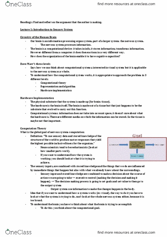 ANAT 321 Lecture Notes - Lecture 1: Ganglion, Thalamus, Brainstem thumbnail