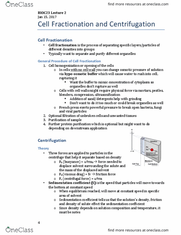 BIOC23H3 Lecture Notes - Lecture 2: Oxidative Phosphorylation, Cell Fractionation, Lysosome thumbnail