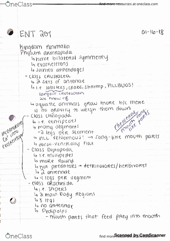 ENT 201 Lecture 3: Specific Classes and Classifications thumbnail