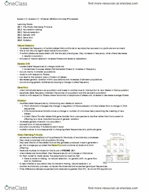 BIO SCI 94 Chapter Notes - Chapter 26: Allele Frequency, Genetic Drift, Genotype Frequency thumbnail