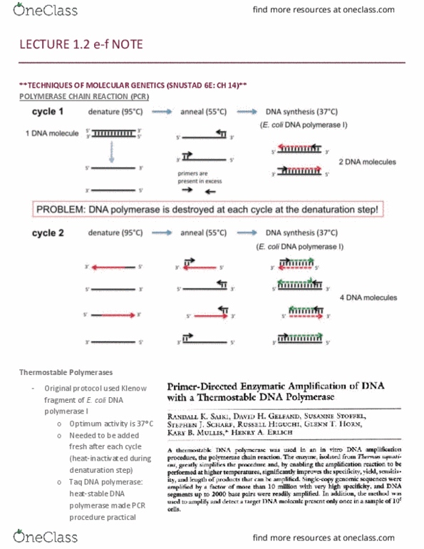 MCB 2050 Lecture Notes - Lecture 4: Pyrococcus Furiosus, Thermus Aquaticus, Klenow Fragment thumbnail