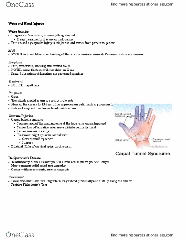 Kinesiology 2236A/B Lecture Notes - Lecture 17: Extensor Pollicis Brevis Muscle, Carpal Tunnel Syndrome, Scaphoid Fracture thumbnail