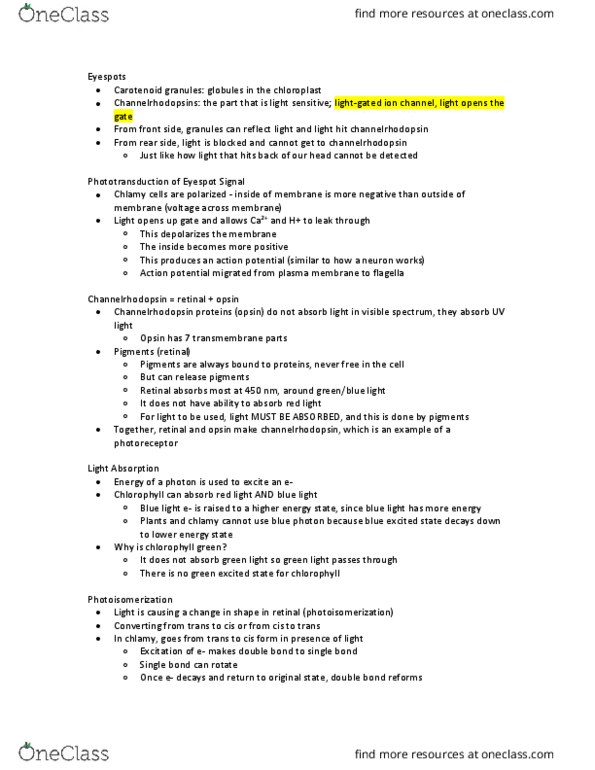 Biology 1002B Lecture Notes - Lecture 4: Channelrhodopsin, Photoisomerization, Opsin thumbnail