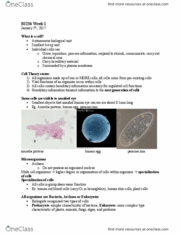 BI236 Lecture Notes - Lecture 1: Amoeba Proteus, Thermoacidophile, Paramecium thumbnail
