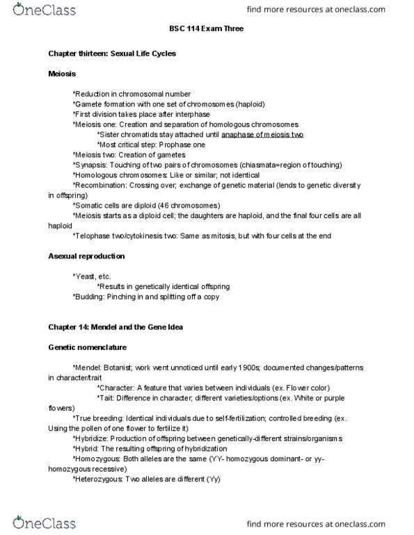 BSC 114 Lecture Notes - Lecture 3: Dihybrid Cross, Mendelian Inheritance, Red Hair thumbnail