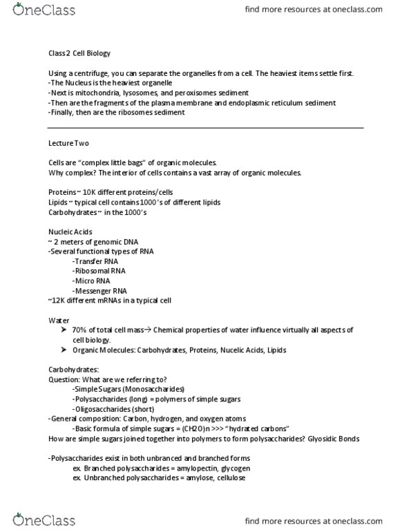 CAS BI 203 Lecture Notes - Lecture 2: Ribosomal Rna, Endoplasmic Reticulum, Messenger Rna thumbnail