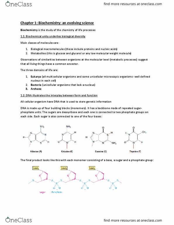 CHEM 271 Chapter Notes - Chapter 1: Deoxyribose, Eukaryote, Glycerol thumbnail