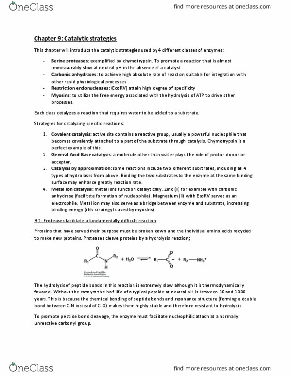 CHEM 271 Chapter Notes - Chapter 9: Enzyme Catalysis, Carbonic Anhydrase, Ecorv thumbnail