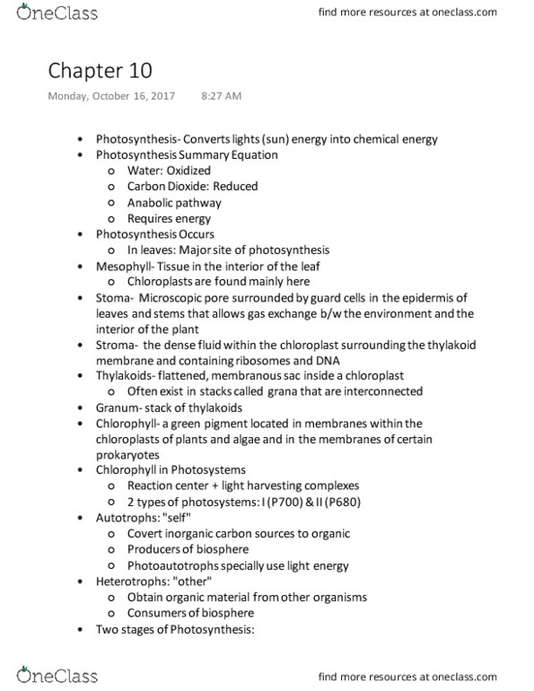 BSC 2010C Lecture Notes - Lecture 9: Photosystem I, Thylakoid, P700 thumbnail